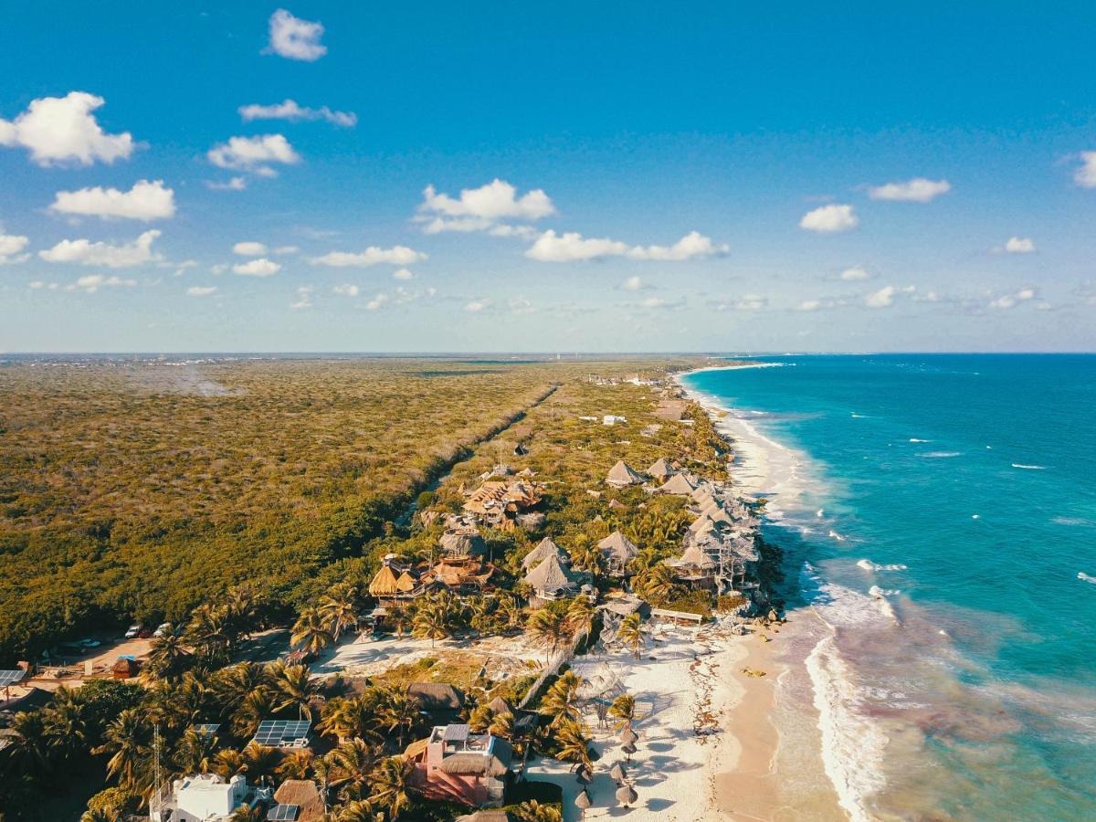 Tulum Banana Hostel エクステリア 写真